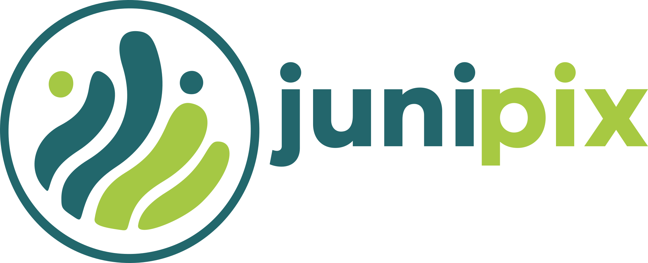 Junipix AI Logo